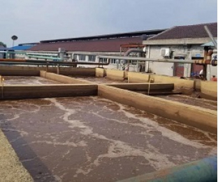 出水氨氮大于進水氨氮，怎么回事？