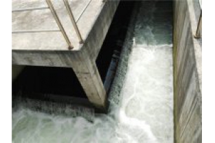 生化出水氨氮超標是怎么回事，要怎么辦